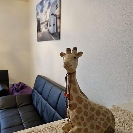 Monteurwohnung App 5 Pirmasens Exteriér fotografie